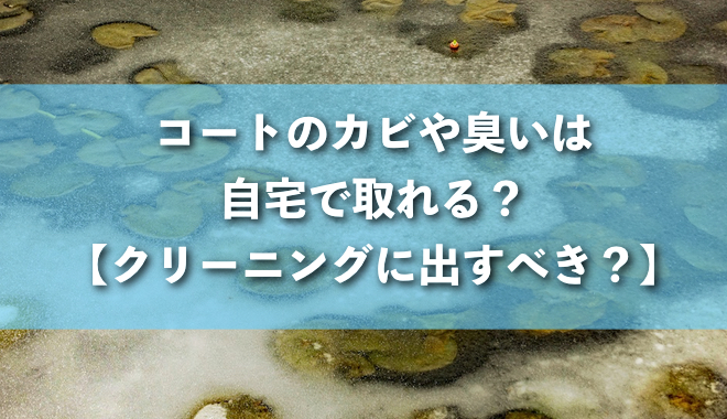 コート 皮脂 臭い トップ